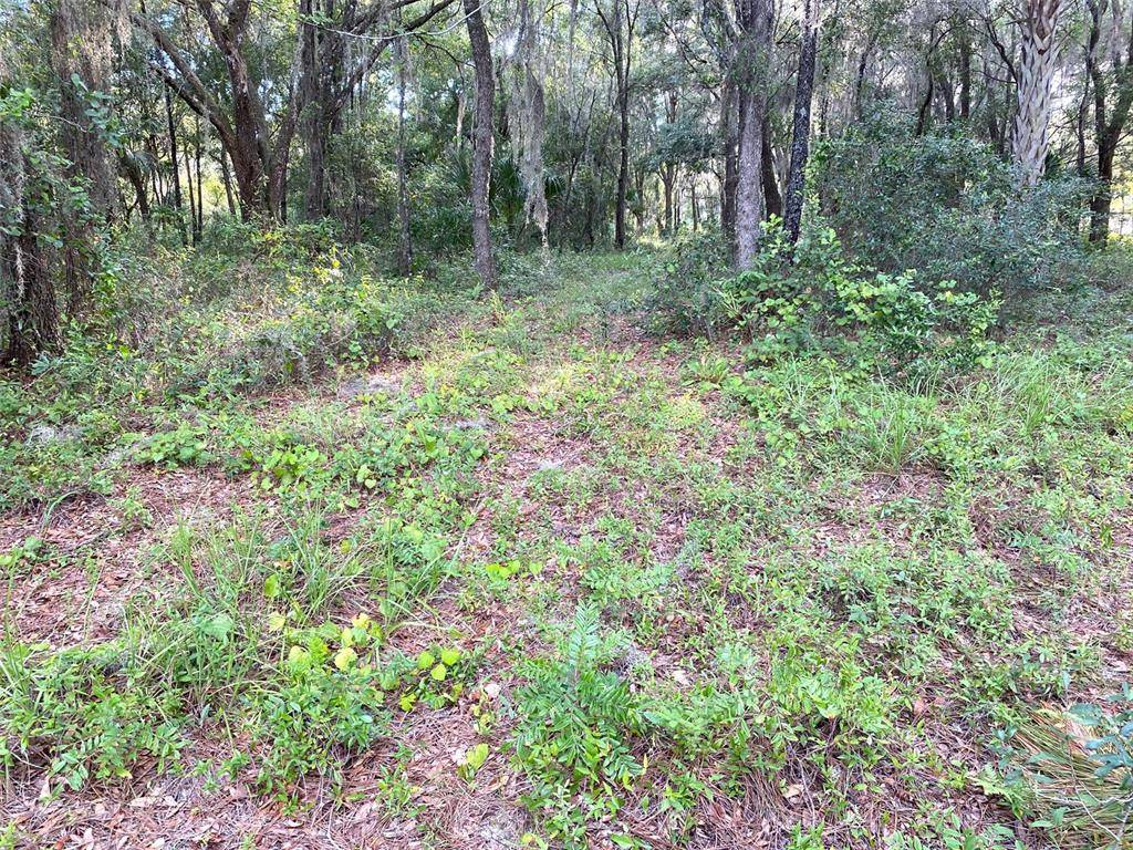 Dunnellon, FL 34431,Lots 11.12 SW SHOREWOOD DR