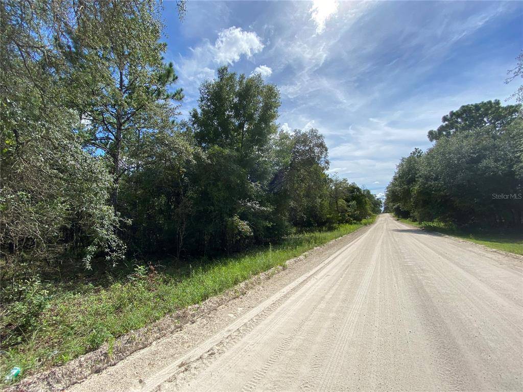 Morriston, FL 32668,TBD SE 23RD PL