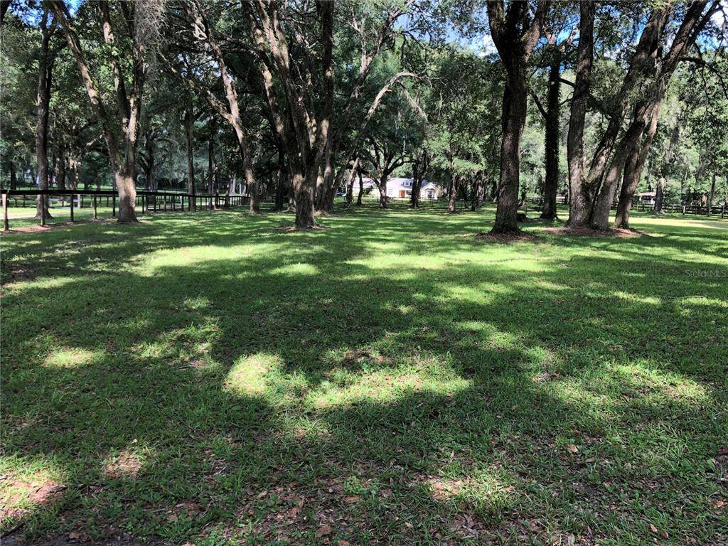 Morriston, FL 32668,6840 NW 135TH AVE