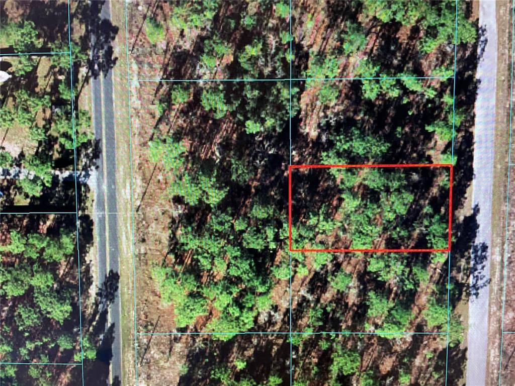 Dunnellon, FL 34431,TBD SW SYCAMORE LOT 6 RD