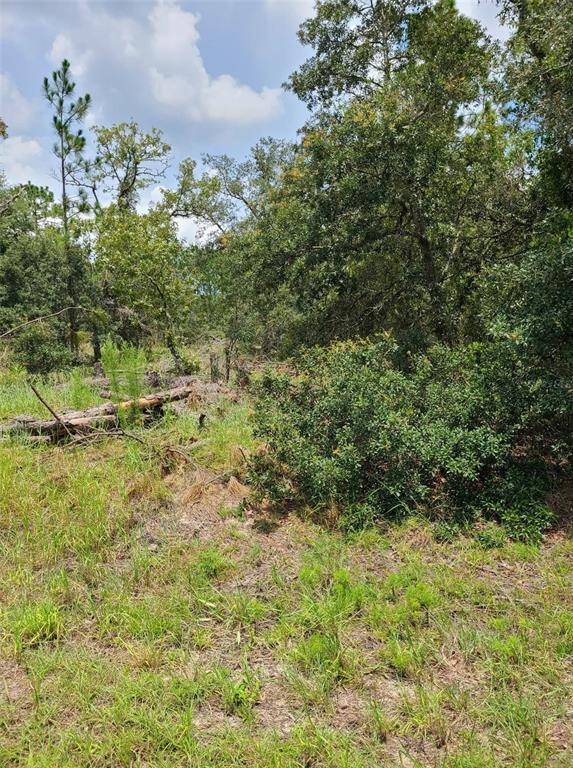 Dunnellon, FL 34431,0 SW NECTARINE LN