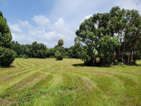 Reddick, FL 32686,10ac (2b) NW HWY 318