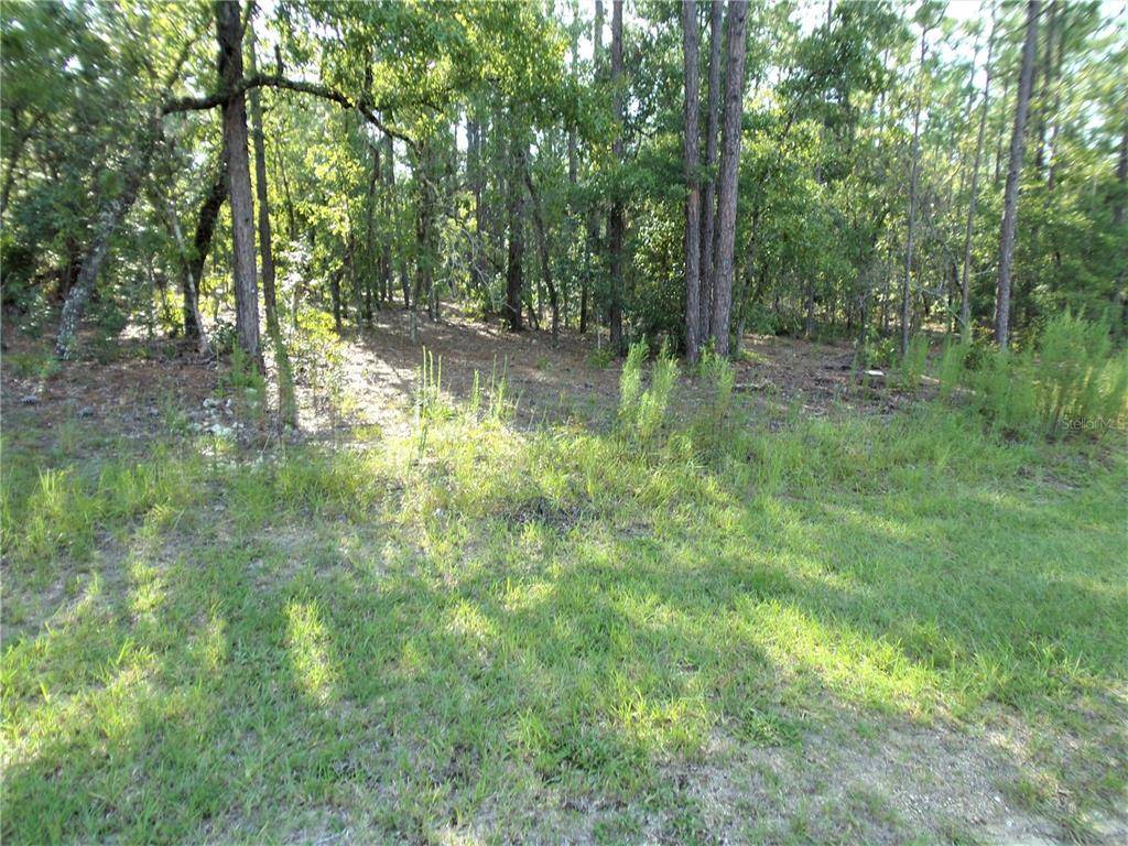 Dunnellon, FL 34432,L6 N 1/2 SW 136TH COURT RD