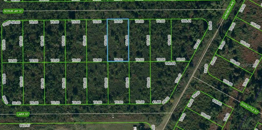 Lake Placid, FL 33852,1431 SCRUB JAY ST