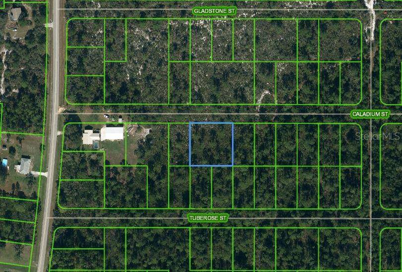 Lake Placid, FL 33852,1411 CALADIUM ST