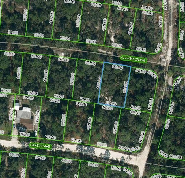 Lake Placid, FL 33852,341 GLENBRIER AVE