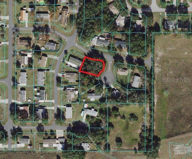 Ocala, FL 34476,0 SW 87TH PLACE RD