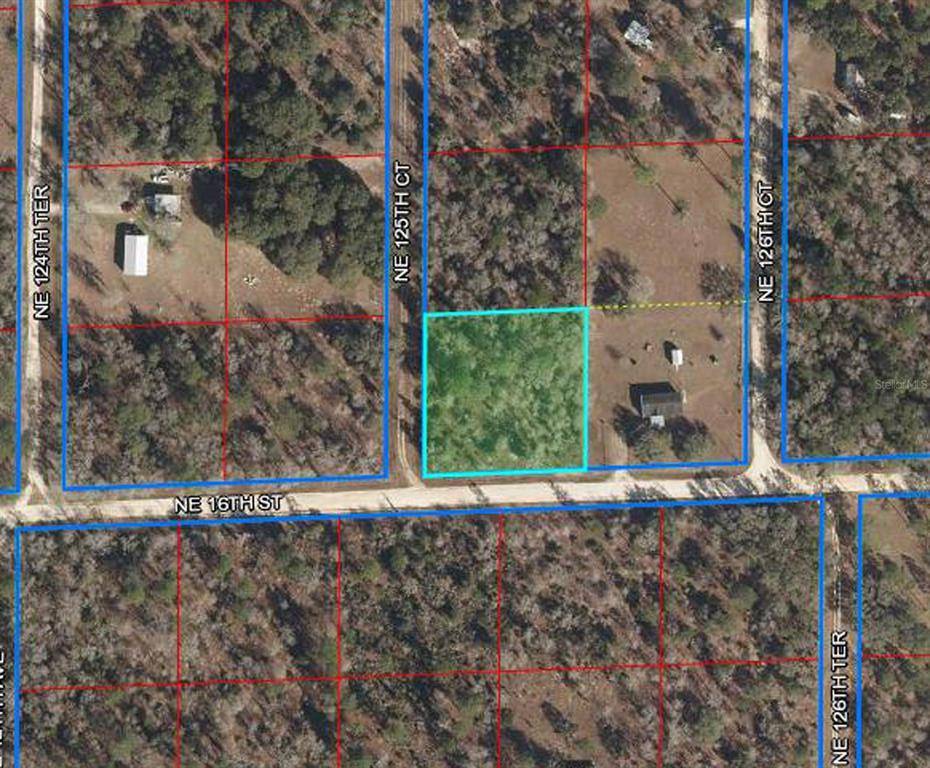 Williston, FL 32696,1631 NE 125TH CT