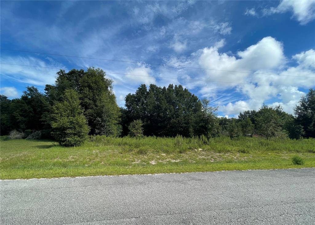 Summerfield, FL 34491,0 SE 156TH PLACE ROAD