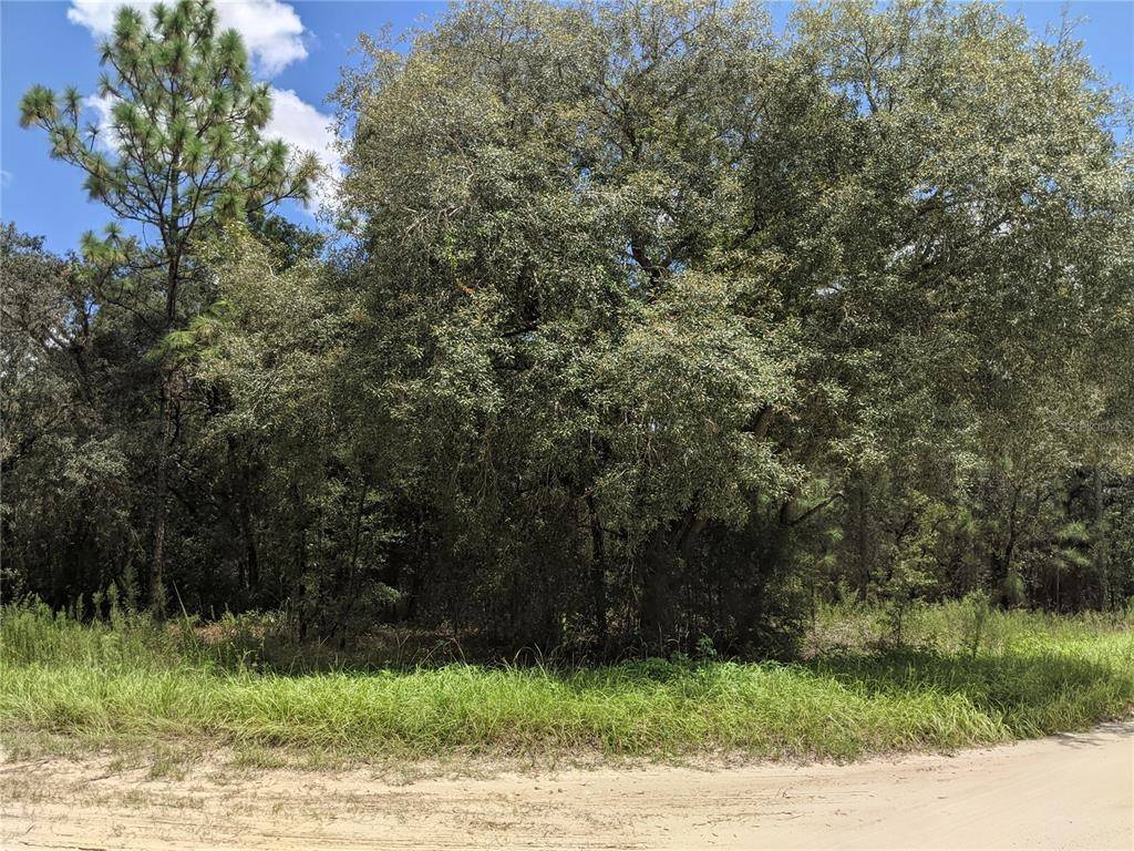 Dunnellon, FL 34432,TBD SW 89TH STREET