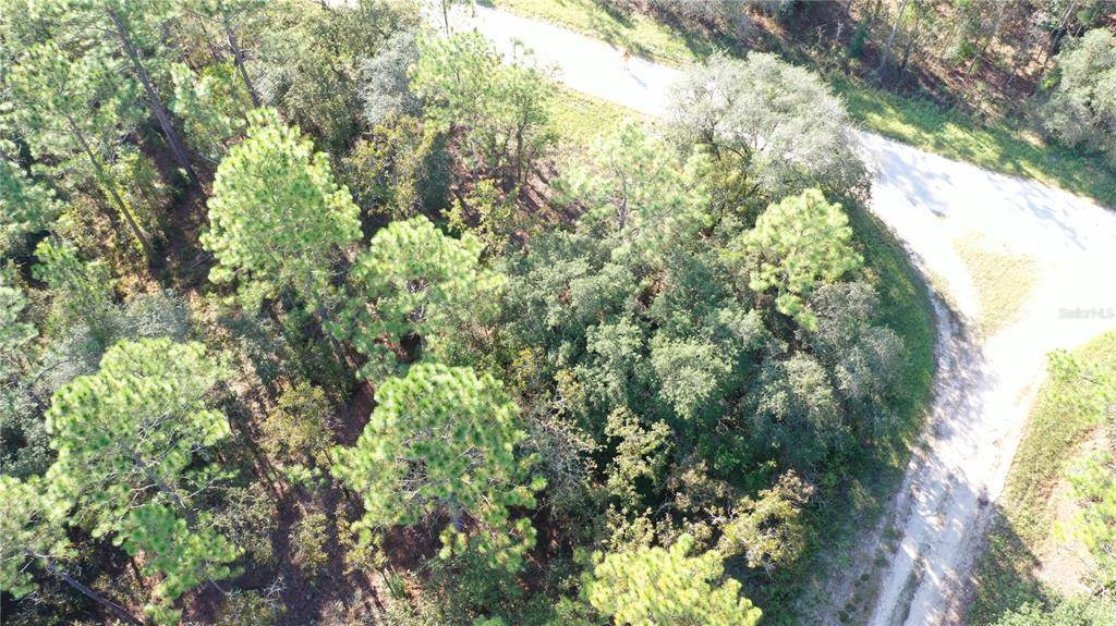 Dunnellon, FL 34432,TBD SW 89TH STREET