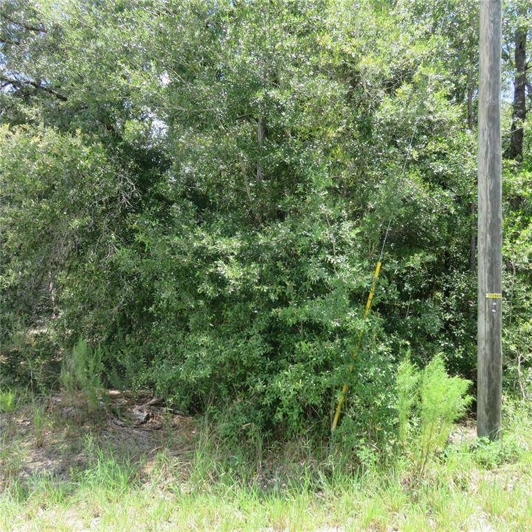 Summerfield, FL 34491,0 SE 94TH CT