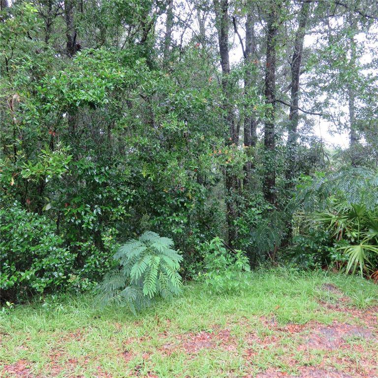 Summerfield, FL 34491,0 SE 94TH CT