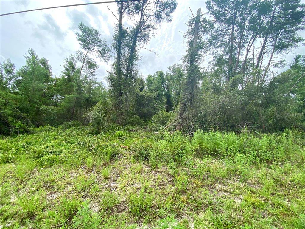 Ocala, FL 34473,TBD SW 164TH ST RD