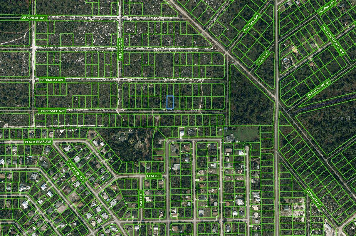 Lake Placid, FL 33852,590 TENNESSEE AVE