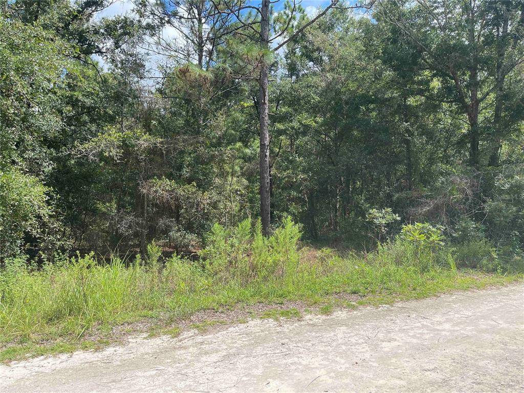 Williston, FL 32696,Lot 6 NE 156 CT