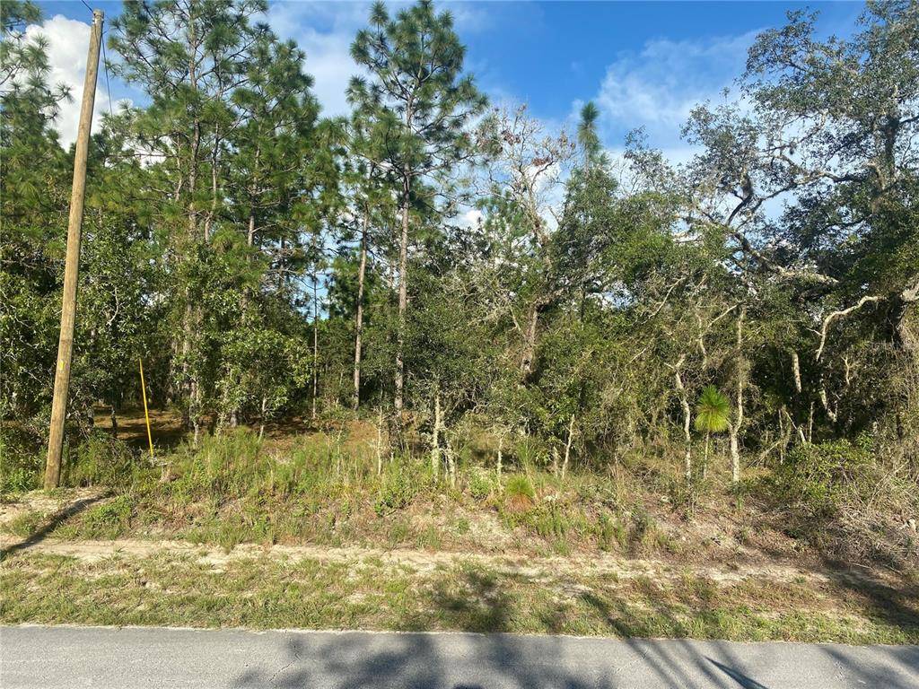 Dunnellon, FL 34431,0000 SW TIMBERLAKE RD