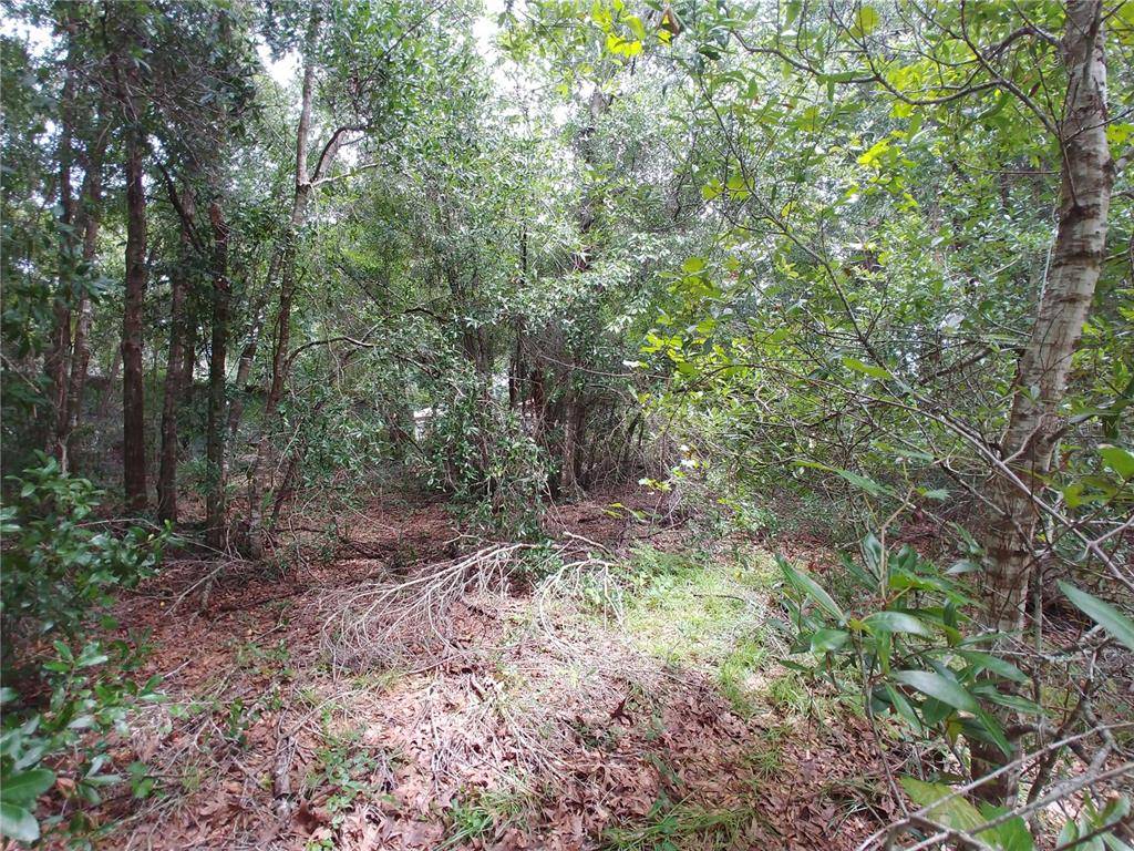 Summerfield, FL 34491,TBD SE 92 AVE