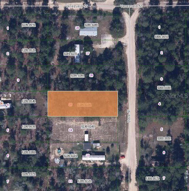 Interlachen, FL 32148,00 DAVE ST