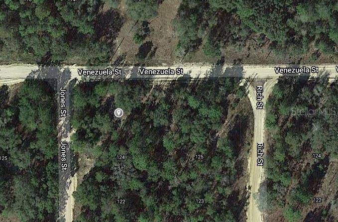 Interlachen, FL 32148,JONES ST