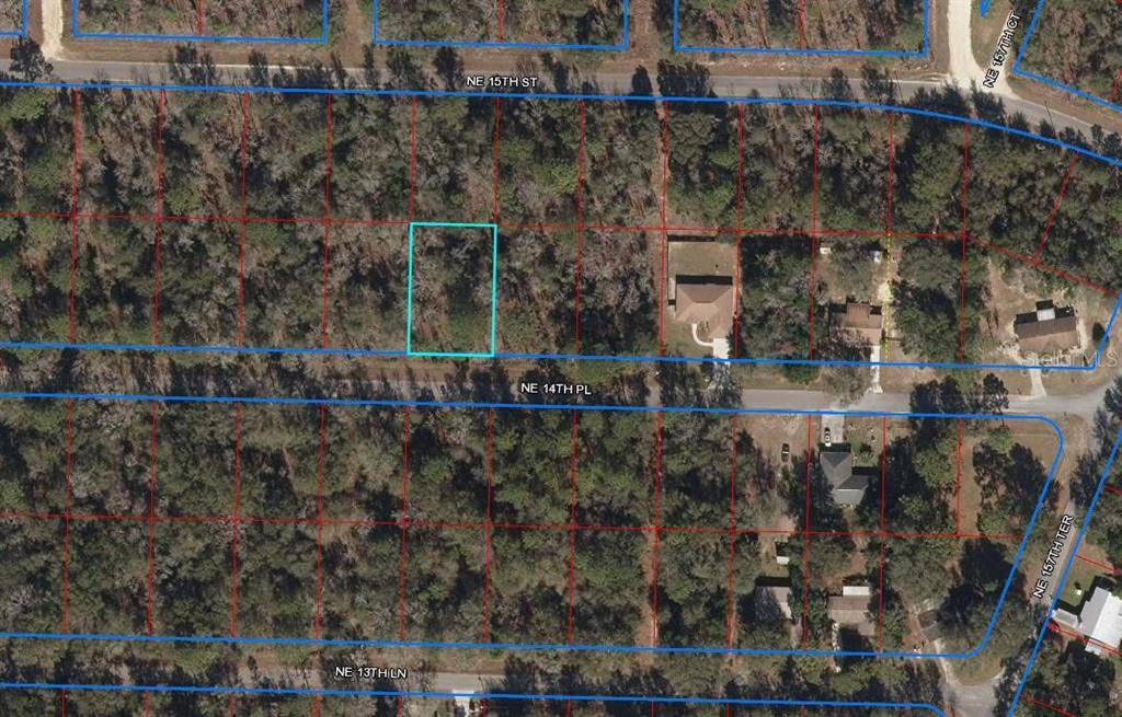 Williston, FL 32696,TBD NE 14TH PL