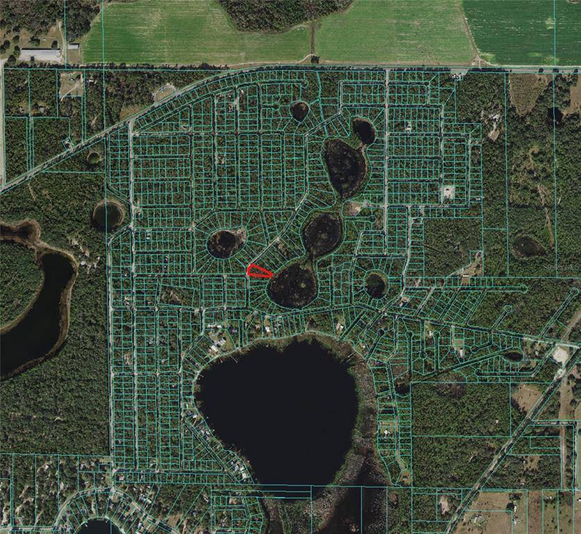 Fort Mc Coy, FL 32134,TBD NE 114 AVENUE ROAD