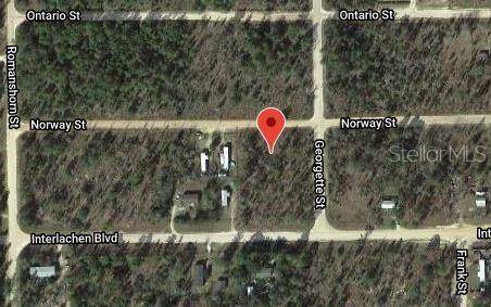 Interlachen, FL 32148,203 NORWAY ST