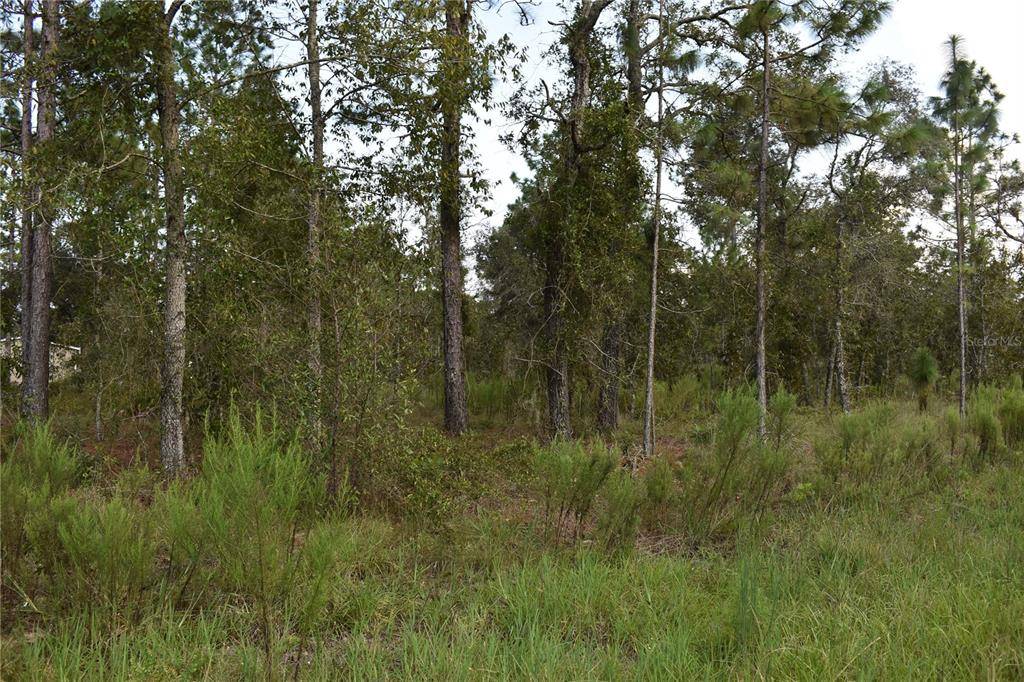 Morriston, FL 32668,TBD SE 23RD PL