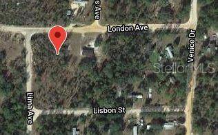 Interlachen, FL 32148,115 LONDON AVE