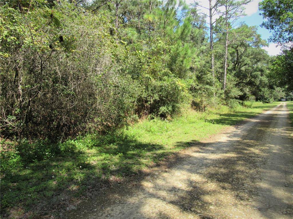 Dunnellon, FL 34434,2259 W WILDFLOWER CT