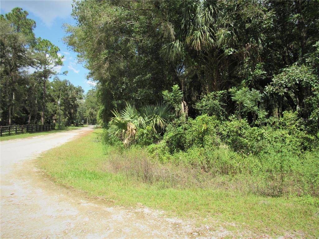 Dunnellon, FL 34434,2259 W WILDFLOWER CT