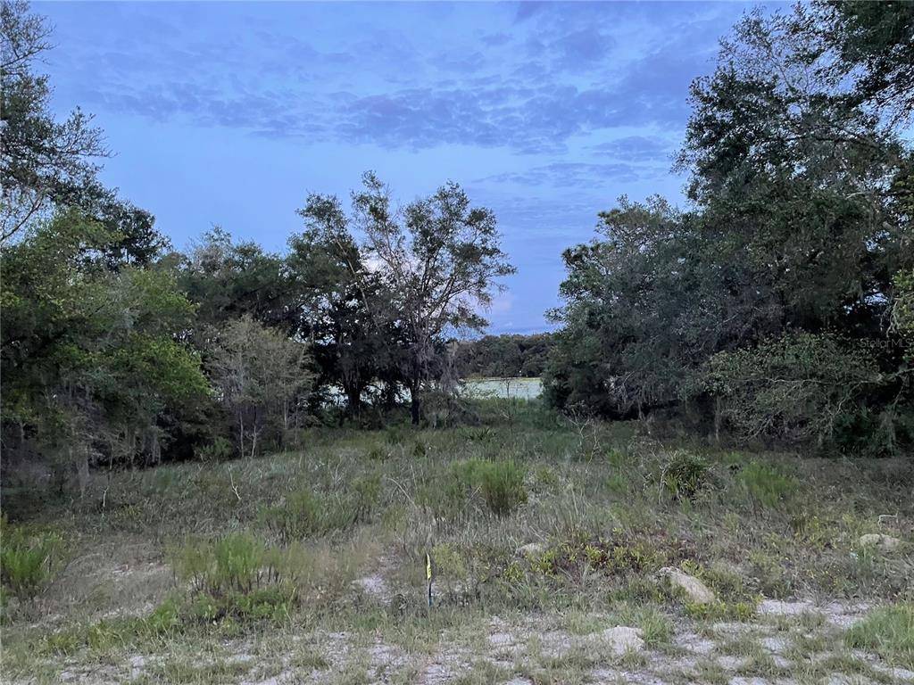 Dunnellon, FL 34431,Lot 412 SW SHOREWOOD DR