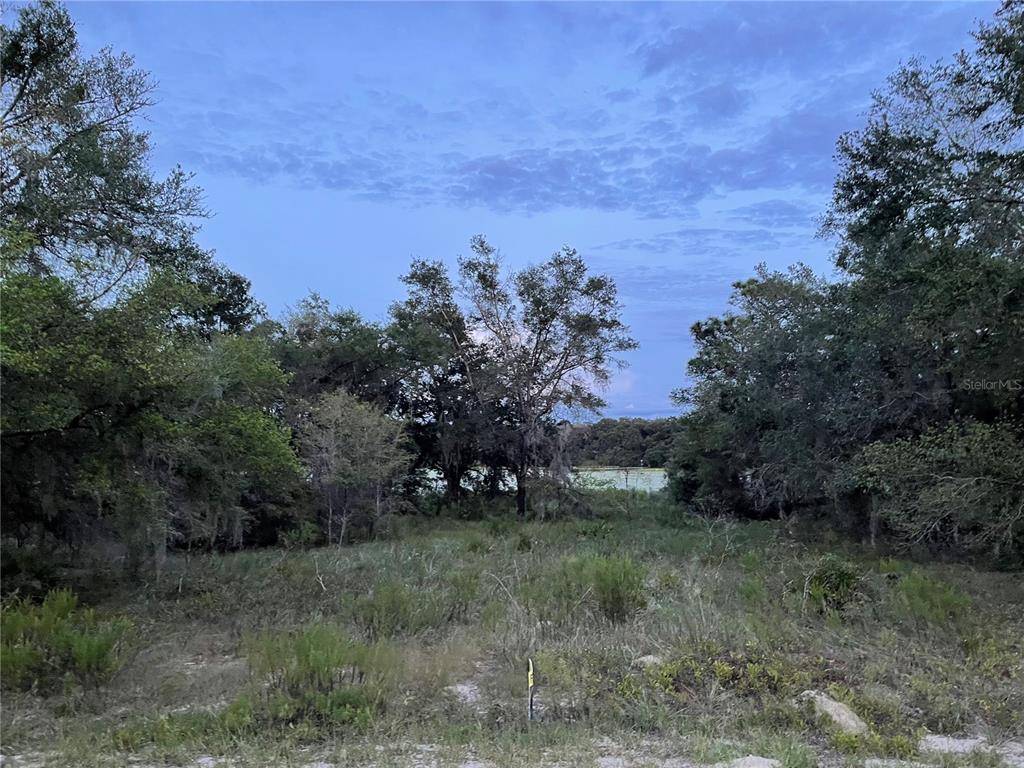 Dunnellon, FL 34431,Lot 412 SW SHOREWOOD DR