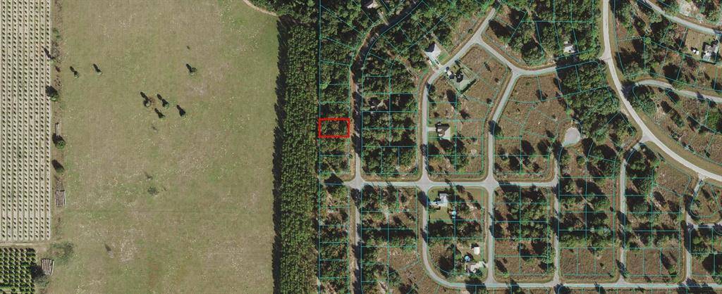 Ocklawaha, FL 32179,000 MALAUKA LOOP