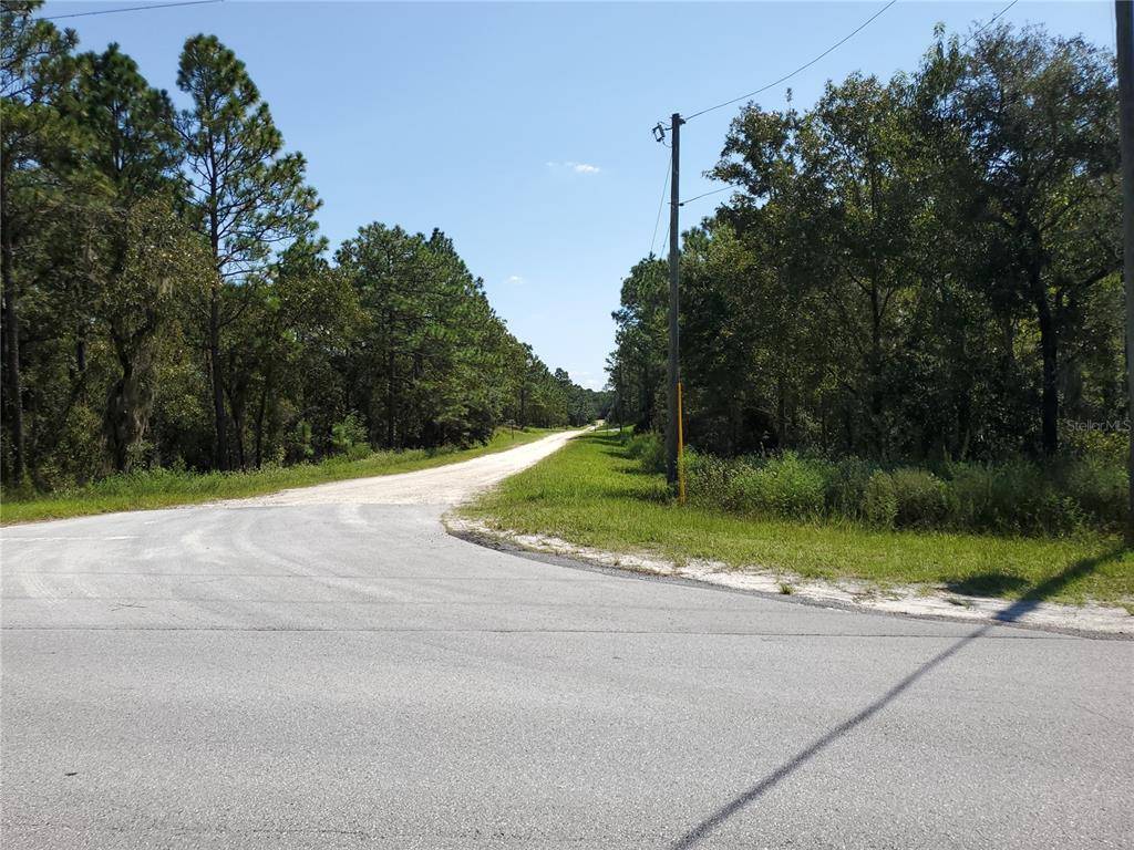 Dunnellon, FL 34432,lot 12 SW 129 TER RD #1