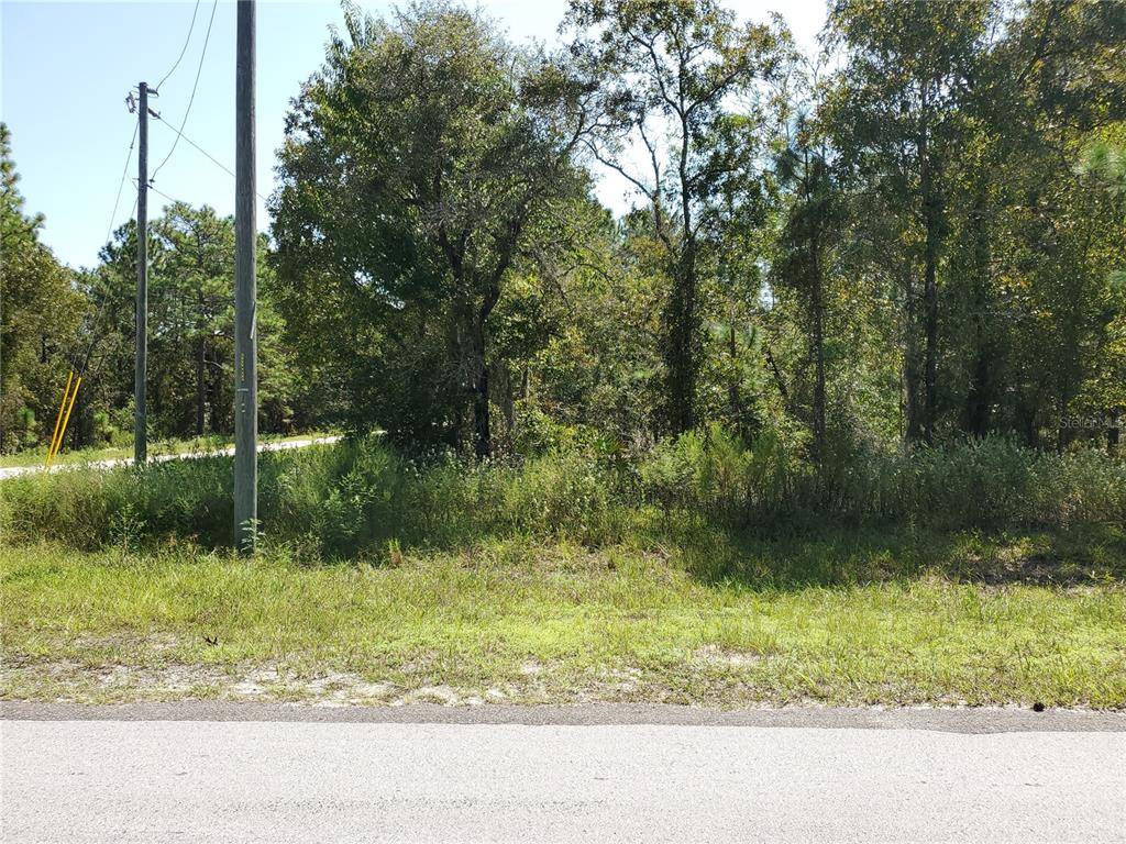 Dunnellon, FL 34432,lot 12 SW 129 TER RD #1