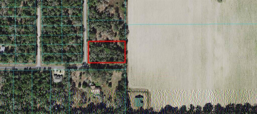 Dunnellon, FL 34431,TBD MONACO CT.