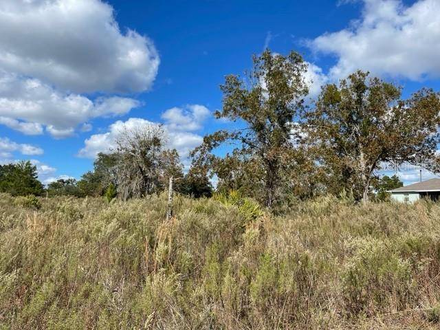 Ocklawaha, FL 32179,Lot #6 MALAUKA RADIAL CT