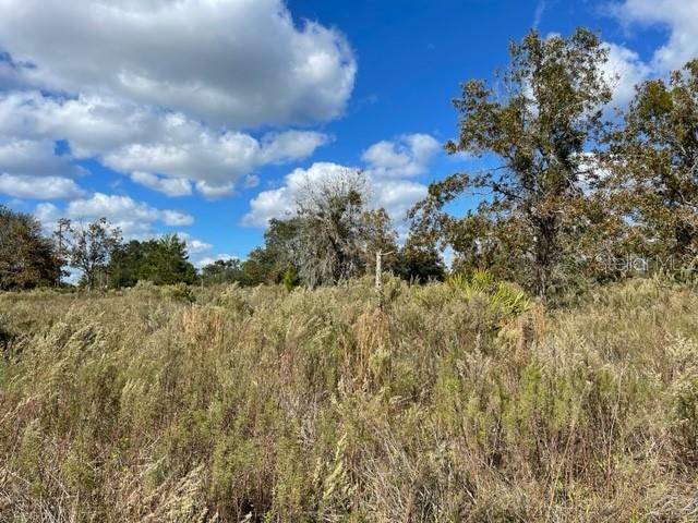 Ocklawaha, FL 32179,Lot #6 MALAUKA RADIAL CT