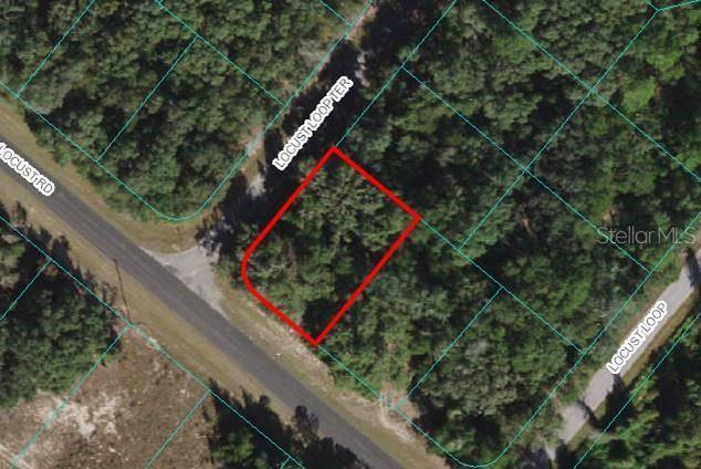 Ocala, FL 34472,Lot 3 LOCUST LOOP TER