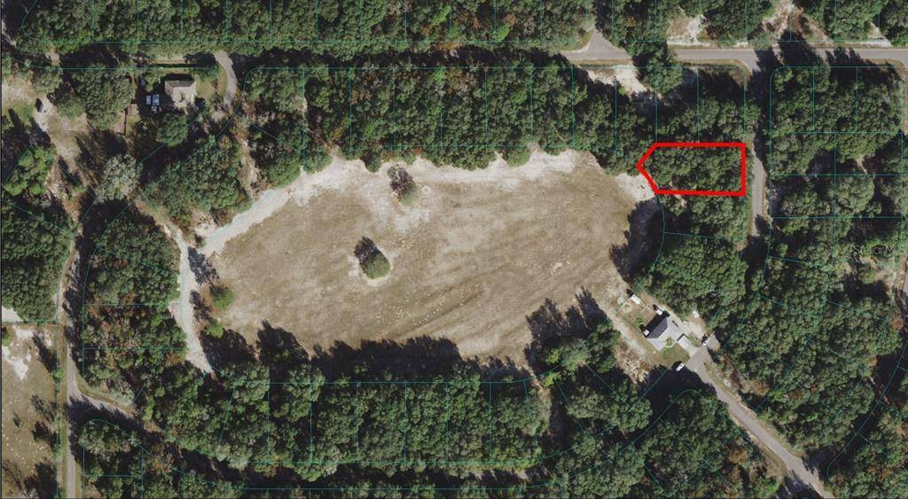 Ocklawaha, FL 32179,0 SW FISHER LANE DR