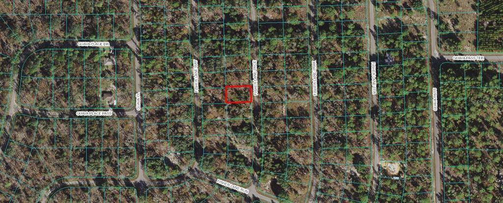 Ocklawaha, FL 32179,00 FISHER LANE TRCE