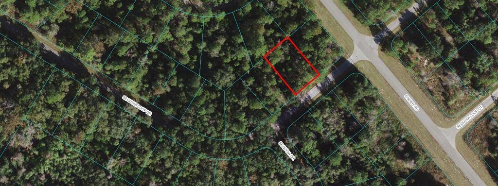 Ocklawaha, FL 32179,00 SEQUOIA LOOP DR