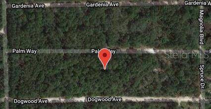 Georgetown, FL 32139,117 PALM WAY