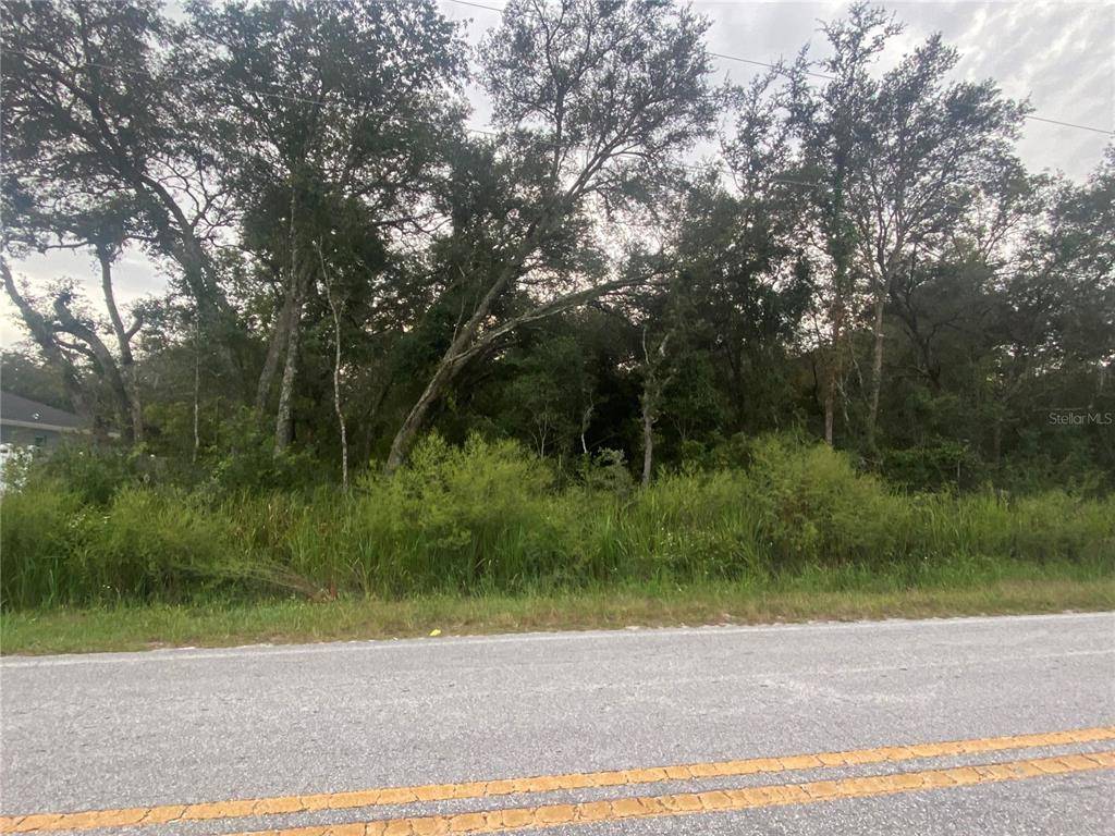 Summerfield, FL 34491,0 SE 157TH PL