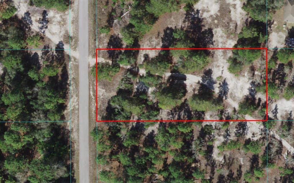 Dunnellon, FL 34431,0 SW GARDENIA CT