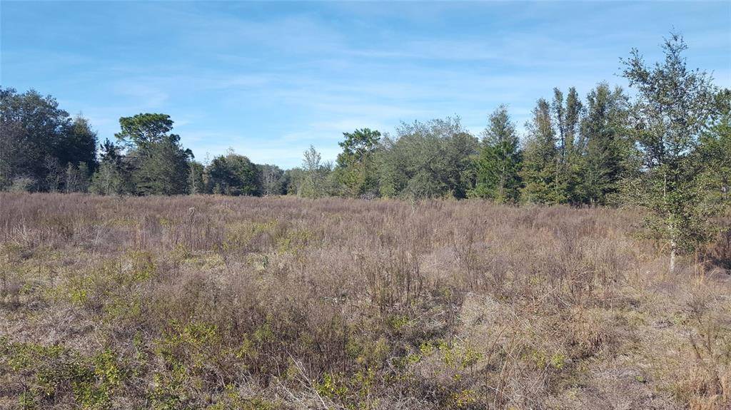 Dunnellon, FL 34432,SW 113 PL