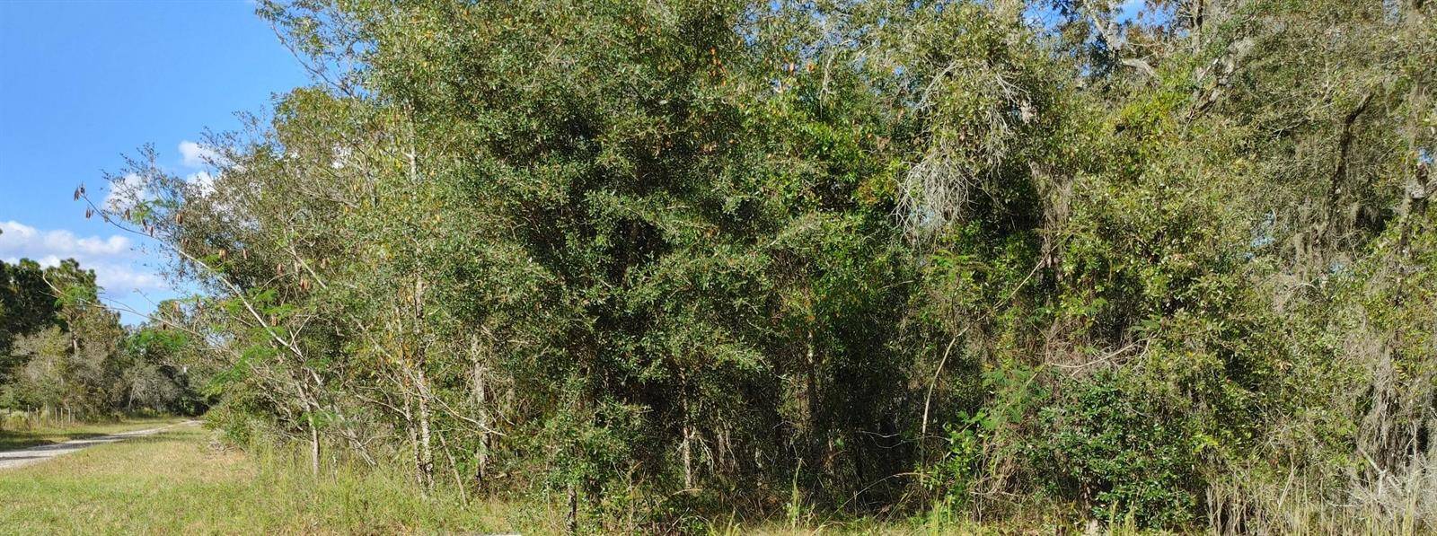 Morriston, FL 32668,TBD SE 25TH ST LOT 7