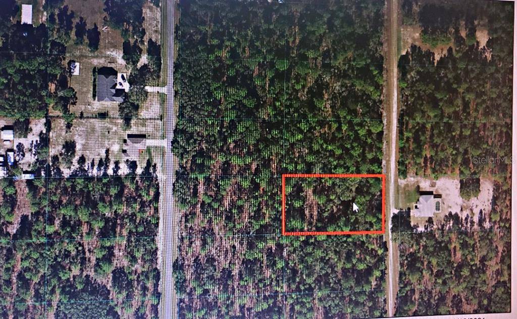 Dunnellon, FL 34432,0 SW 136TH TER