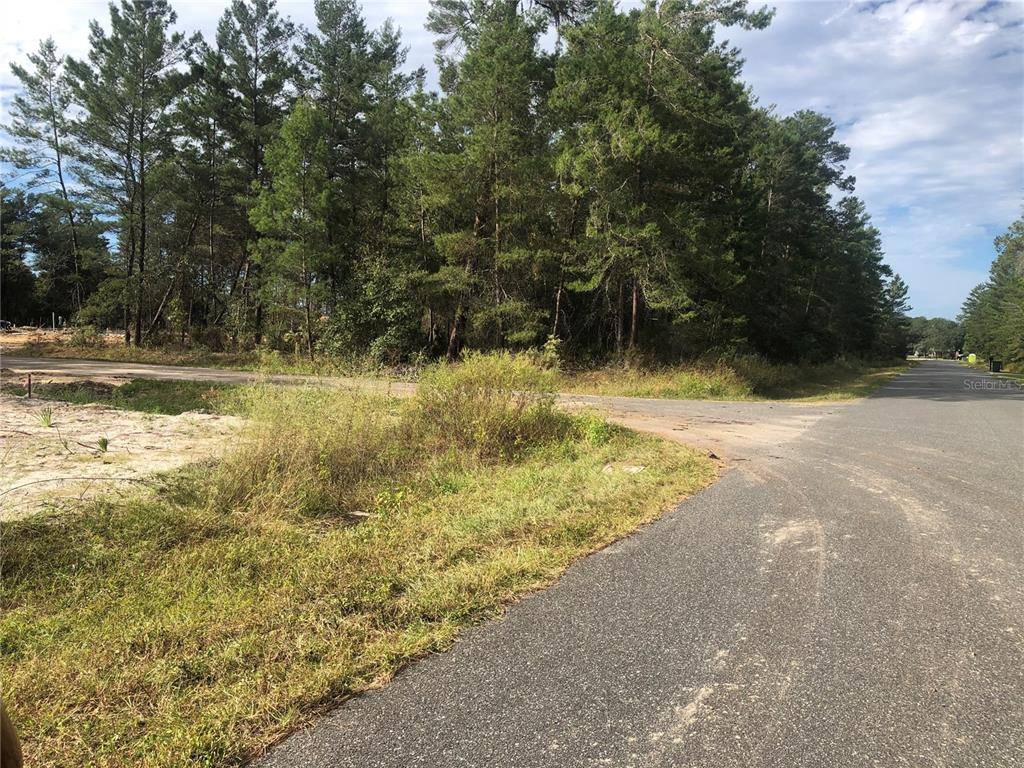 Ocala, FL 34476,Lot 20 SW 106TH ST